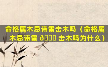 命格属木忌讳雷击木吗（命格属木忌讳雷 💐 击木吗为什么）